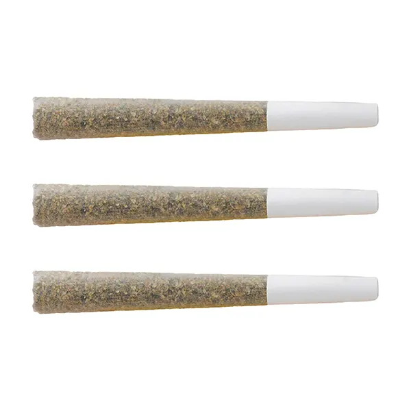 Trifecta Pre-Roll