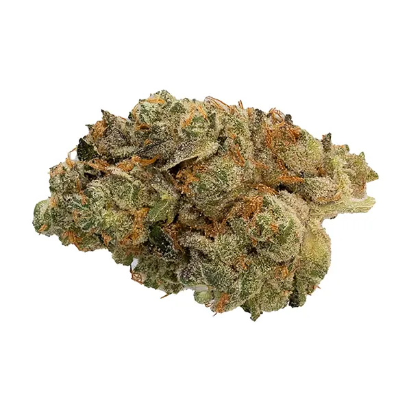 Bud image for Secret Stash - Hybrid, cannabis dried flower by Hot Box