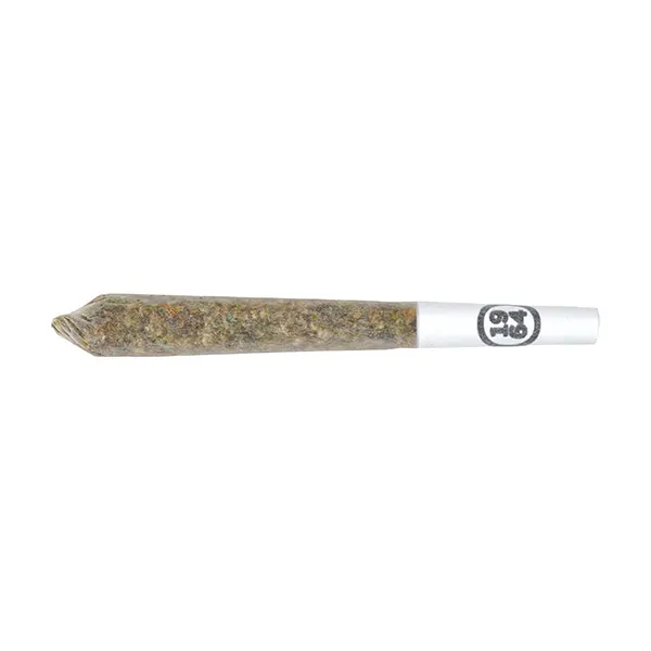 Resin Roll GLTO #41 Infused Pre-Roll