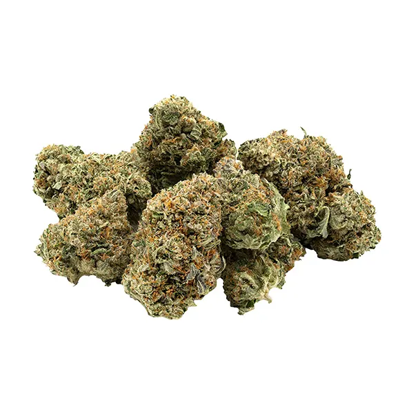 Product image for 1964 Cannabis Flower by Rubicon Organics Inc.