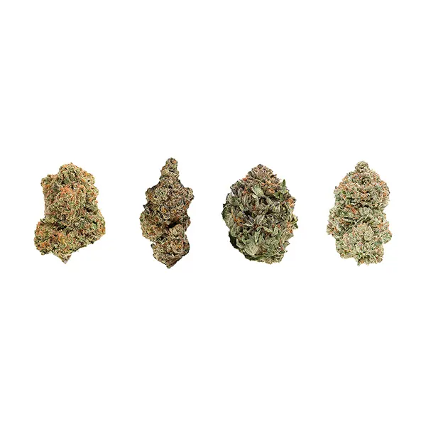 Mix 'n Match Variety Pack