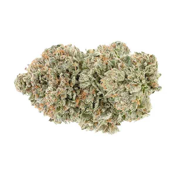 Product image for 1964 Cannabis Flower by Rubicon Organics Inc.