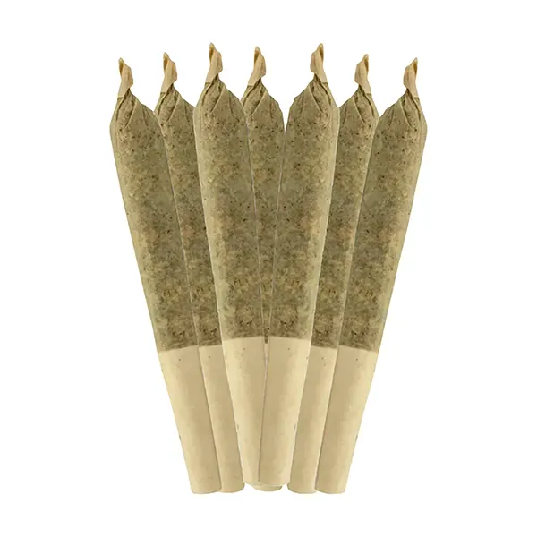 Double Bubbs Pre-Rolls (Pre-Rolls) by Sheeesh!