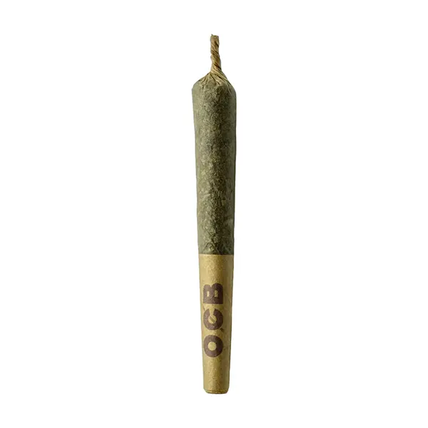 Dubb Bubbs Cured Resin Infused Pre-rolls