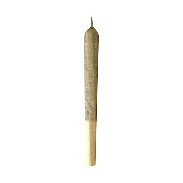 Jungl' Cake Pre-Roll