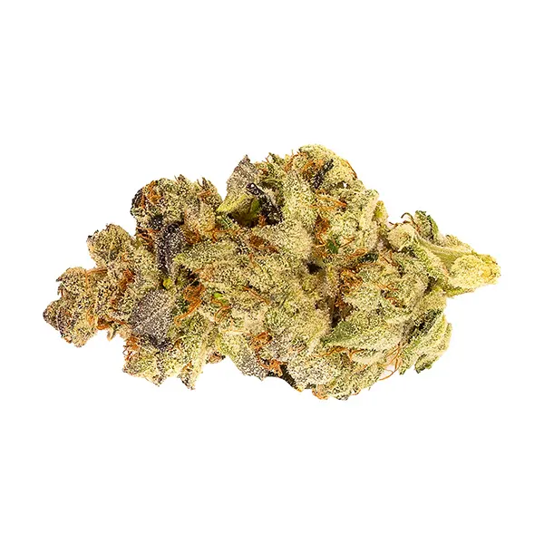 Bud image for Mosa Orange Punch, cannabis all products by 5 Points Cannabis