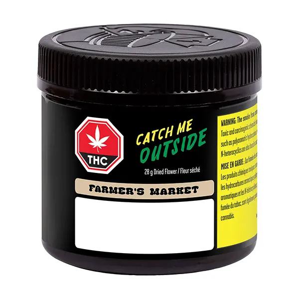 Farmer's Market (Dried Flower) by Catch Me Outside