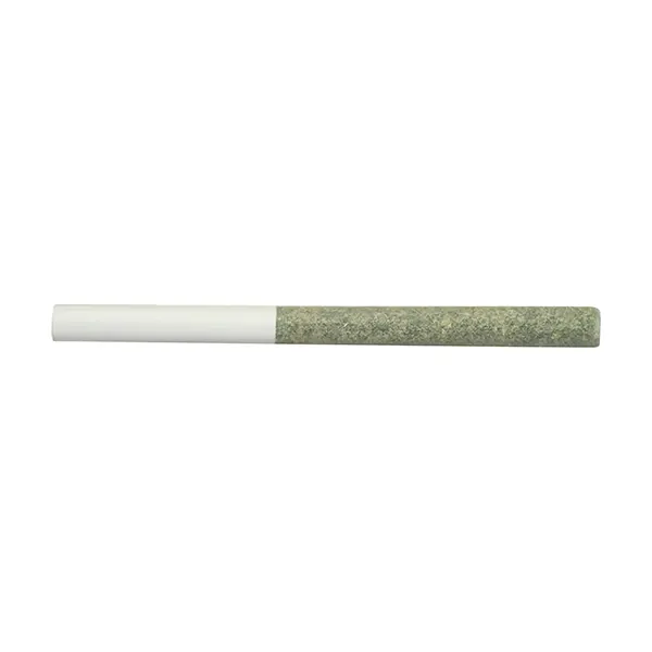 Just Haze Pre-Ro..