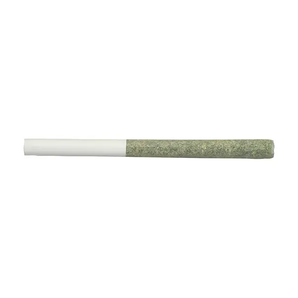 Just Diesel Pre-..