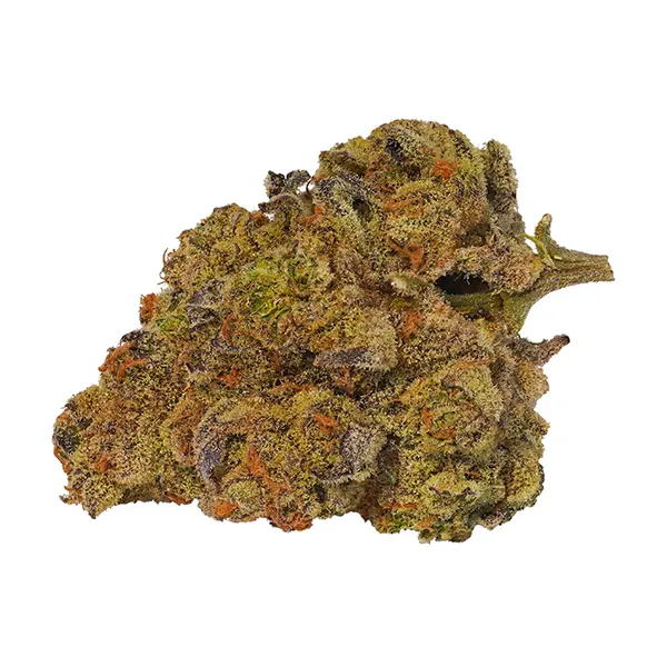 Product image for Lowbanks Grow Cannabis Flower by Lowbanks Grow