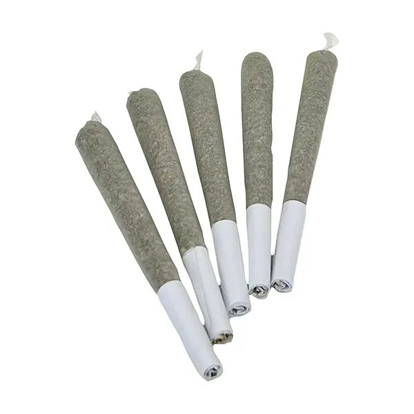 Candy Fumez Pre-Roll (Pre-Rolls) by Terp Nerdz