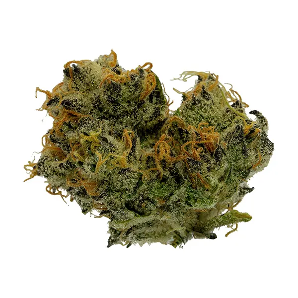 Bud image for Crispy Cream, cannabis dried flower by True Fire