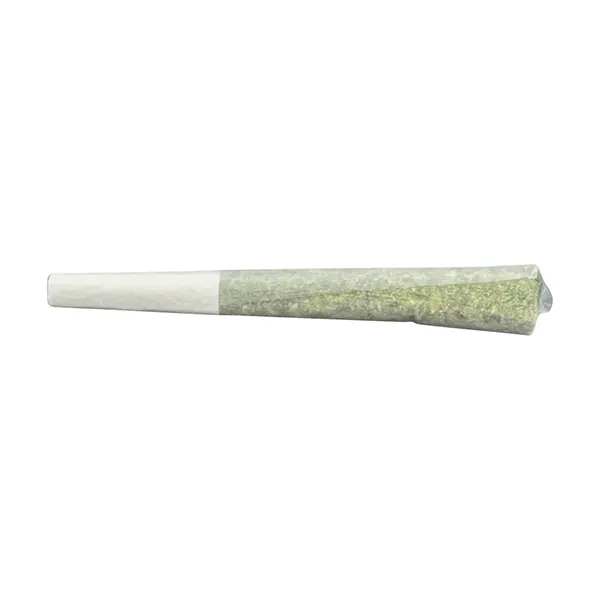 Image for GMO Infused Pre-Roll, cannabis all products by Terra Labs