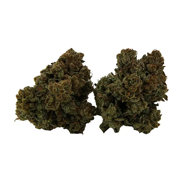 Product image for Galactic Glue, Cannabis Flower by Virtue Cannabis