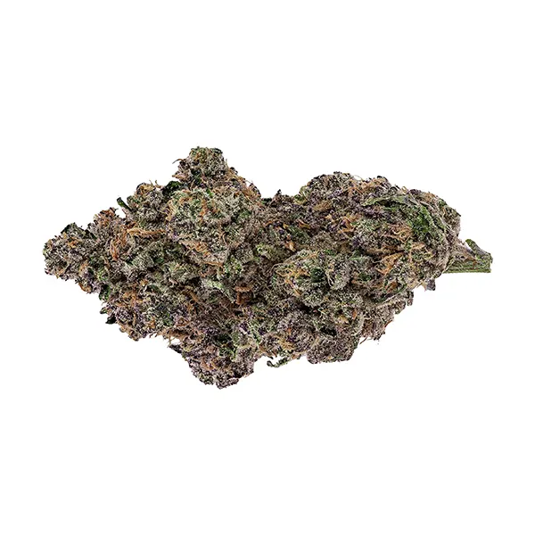 Bud image for Sherbanger 22, cannabis all products by Ghost Drops