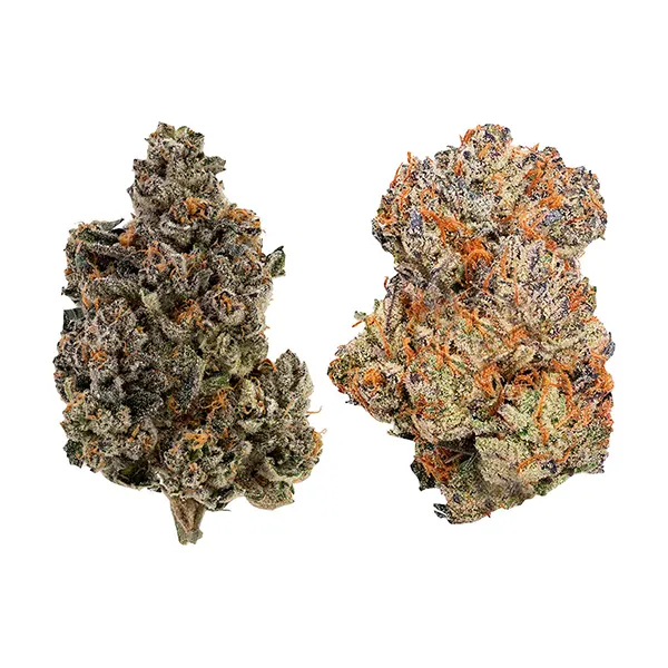 Bud image for Trap Pack 7, cannabis all products by Ghost Drops