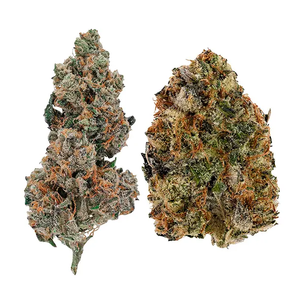 Bud image for Trap Pack 14, cannabis all products by Ghost Drops