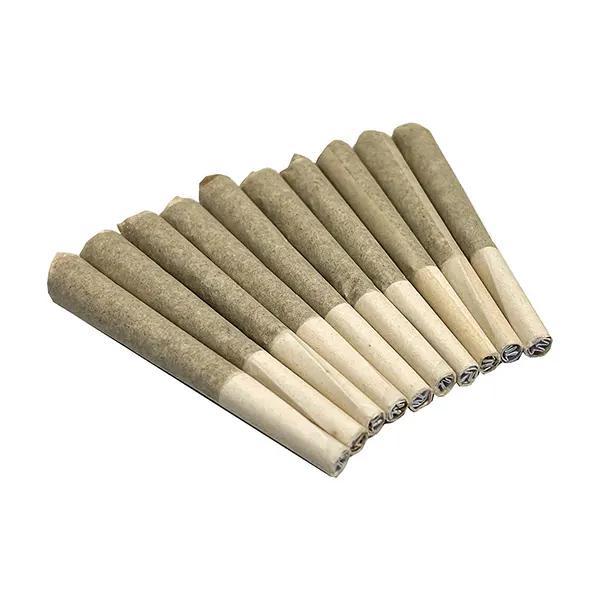 Image for Rotational - Tectonic Truffle Pre-Rolls