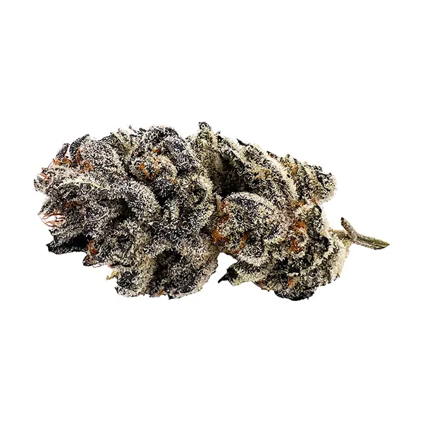 Product image for Rotational 1 - Tectonic Truffle, Cannabis Flower by CannJah