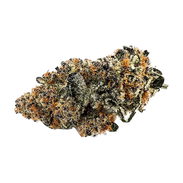 Image for Drip Station