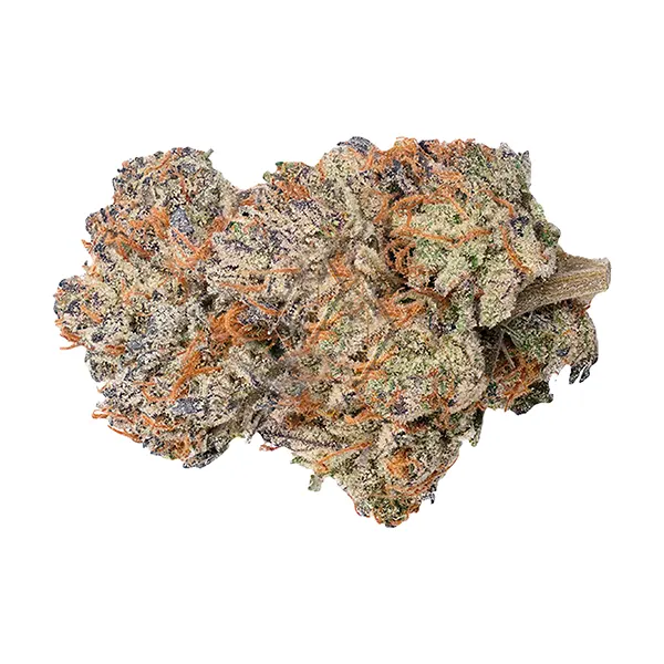 Image for Permanent Marker