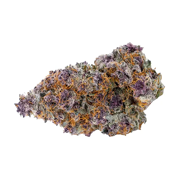 Product image for Sheeesh! Cannabis Flower by Kizos Culture Inc