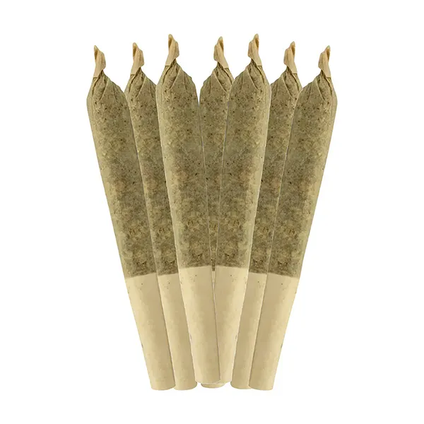 Dia De Los Muertos Pre-Roll (Pre-Rolls) by Sheeesh!