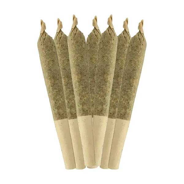 Jungle Kush Pre-Roll (Pre-Rolls) by Sheeesh!