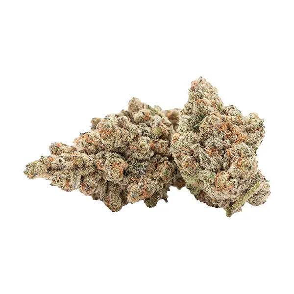 Bud image for Kush Fest, cannabis all products by Cactus