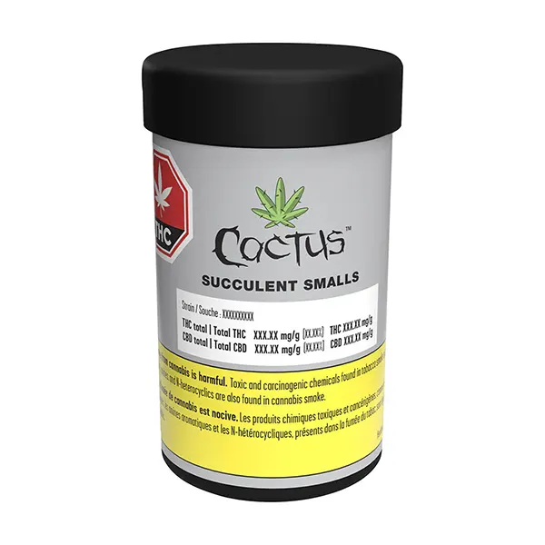 Image for Succulent Smalls, cannabis all products by Cactus
