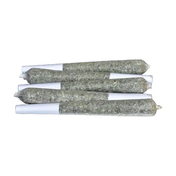 Image for Rntz Punch Pre-Roll, cannabis all products by 1809 Underground