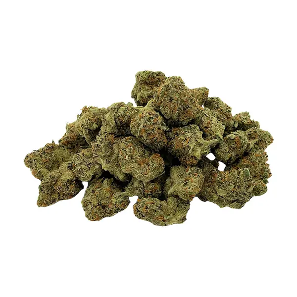 Mini Quadz Sativ..
