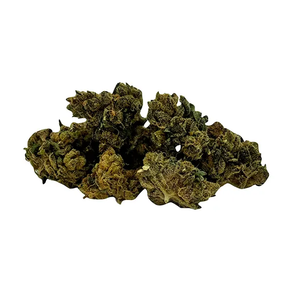 Bud image for Mini Quadz Indica, cannabis all products by Smoke Show