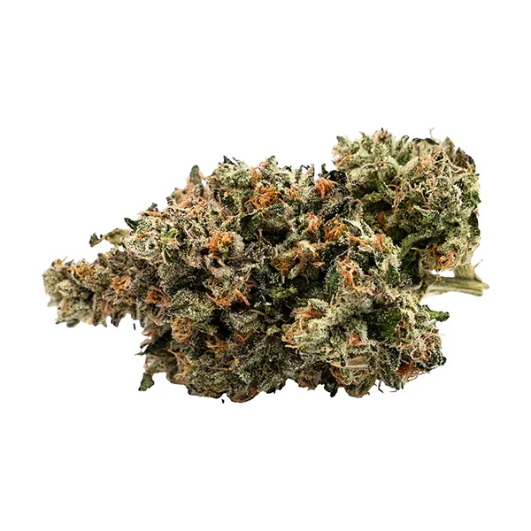 Product image for Old School Fuel, Cannabis Flower by West Coast Gas