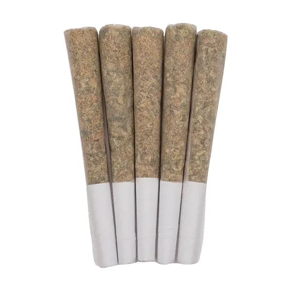 Image for Heavy Hitters Pre-Roll, cannabis all products by West Coast Gas