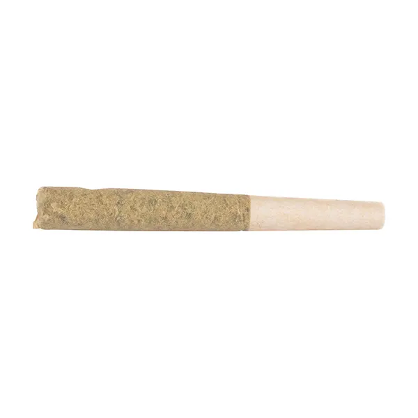 Product image for SUMO Cannabis Cannabis Flower by 