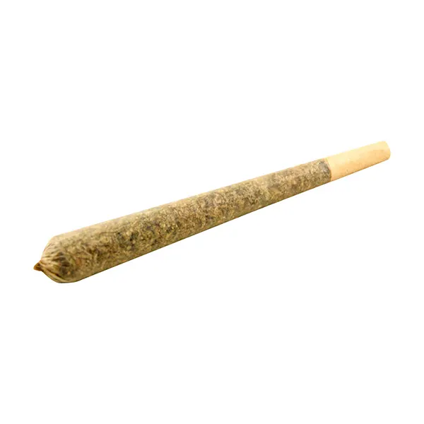 GO TIME Pre-Roll