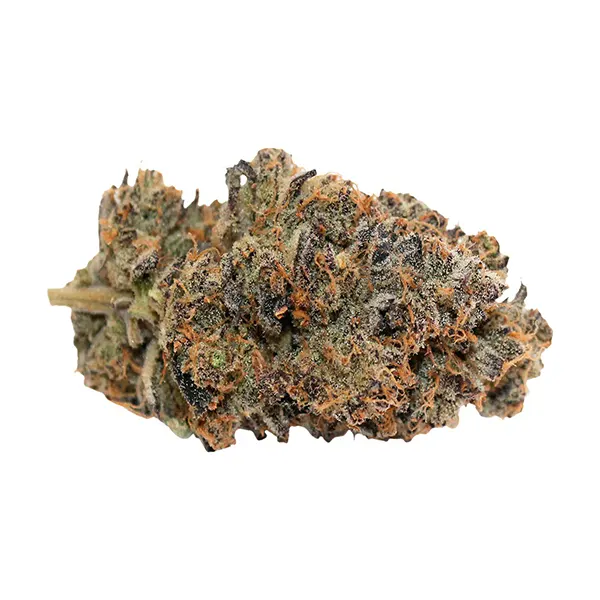 Bud image for Violet G*shers, cannabis dried flower by Pineapple Buds