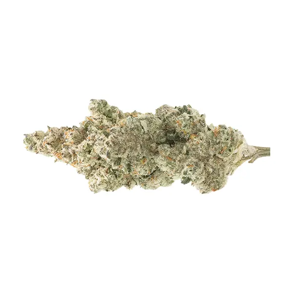 Product image for SUMO Cannabis Cannabis Flower by 