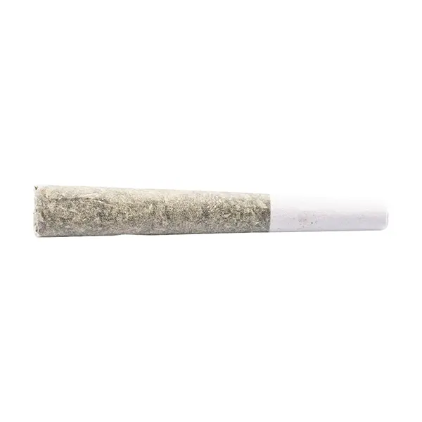 Image for Cement Shoes Pre-Roll, cannabis all products by SUMO Cannabis