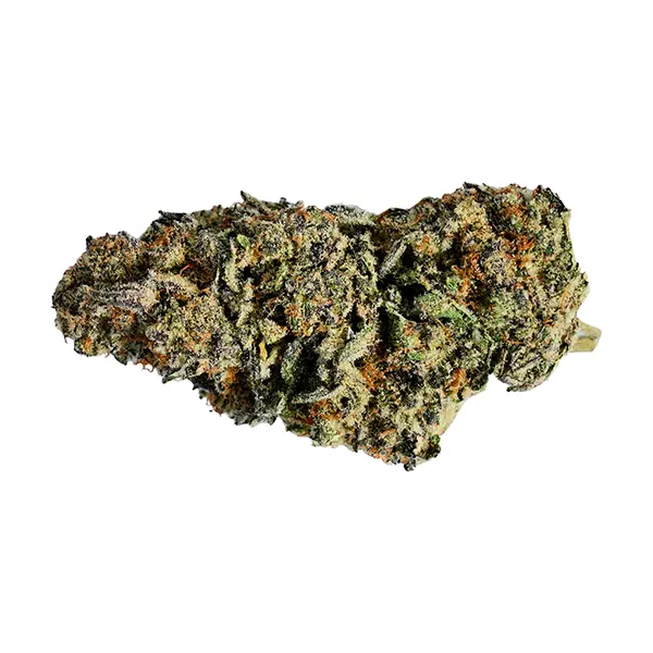 Image for Mutant Rootbeer