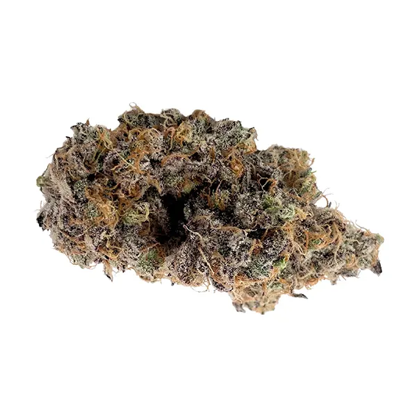 Image for Not The GovernMINT