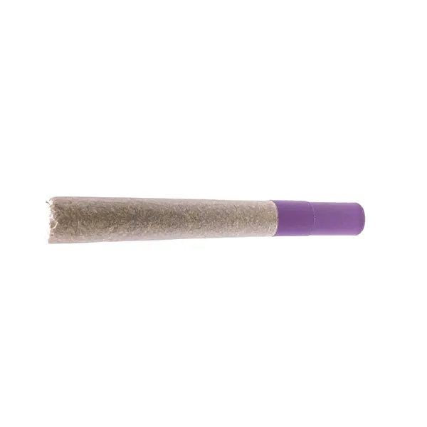G.S.P Gas S'il vous Plait Ice Water Hash Infused Pre-Roll (Blunts) by HighXotic