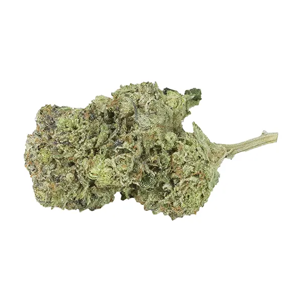 Bud image for Gelato #4, cannabis all products by DAKU