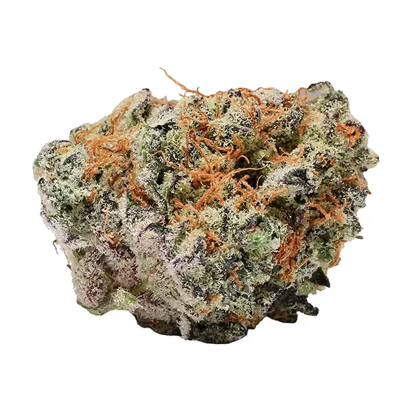 Bud image for Tangerine Dream, cannabis all products by Choice Growers