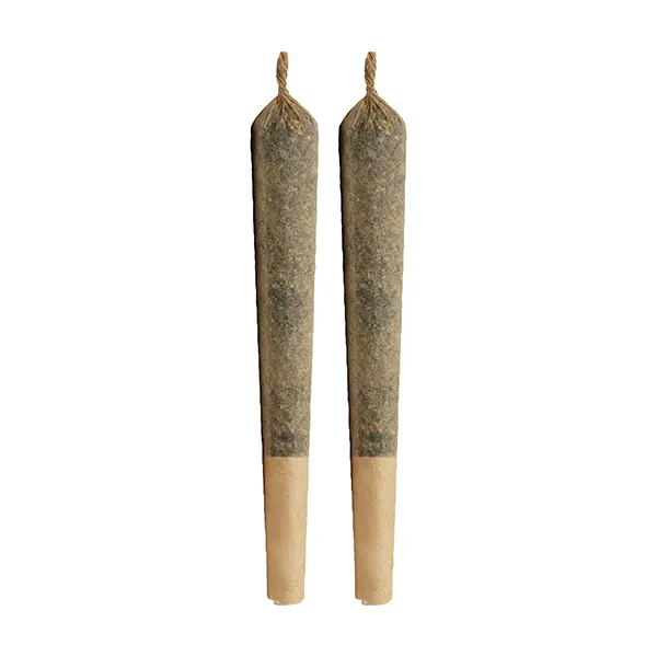 Gold Dawg Pre-Roll (Pre-Rolls) by Choice Growers