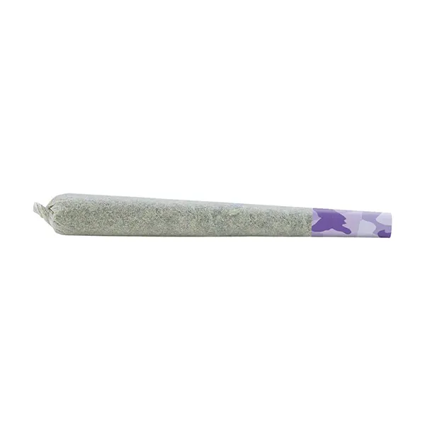 Image for Dessert Storm Pre-Roll, cannabis all products by Shred