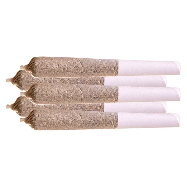 Image for Ghost Train Haze Pre-Roll