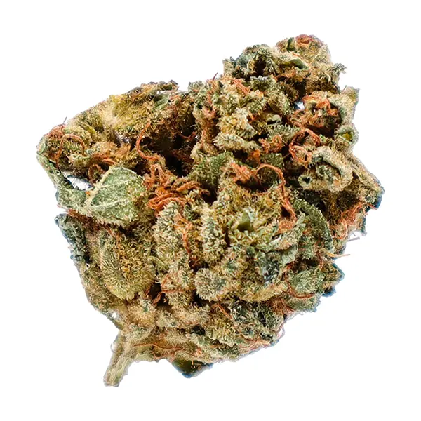 Product image for Potluck Cannabis Flower by Sensi Brands Inc.