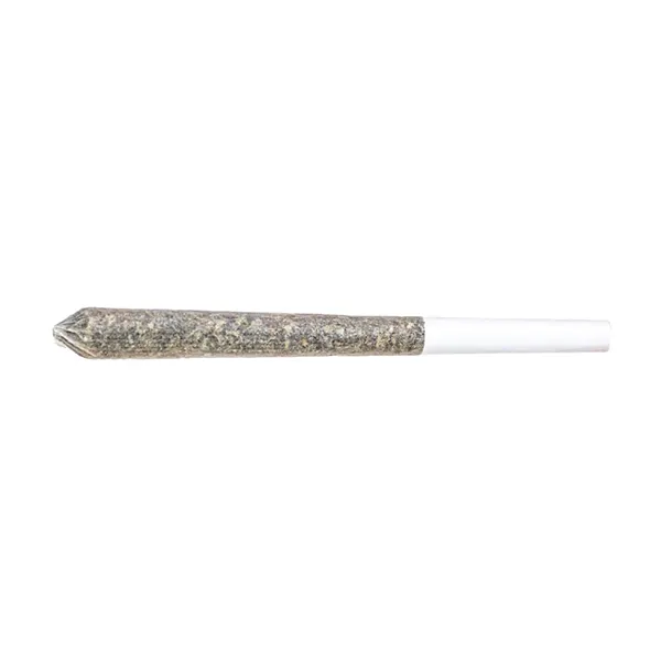 Image for Pre-Roll Variety Pack, cannabis pre-rolls by Station House